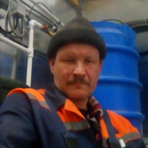 Владимир, 53 года, Томск