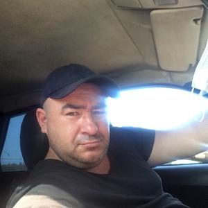 Владимир, 44 года, Ярославль