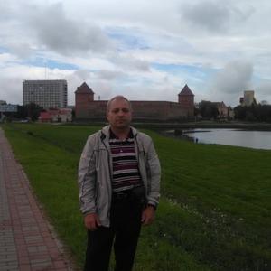 Митяй, 44 года, Великий Новгород