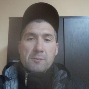 Александр, 46 лет, Псков