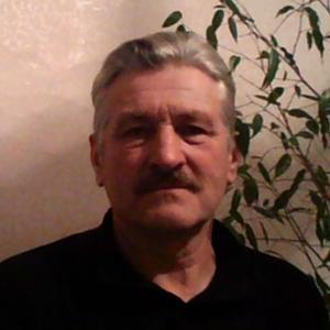 Виктор, 71 год, Красноярск