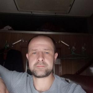 Виталий, 42 года, Мукачево