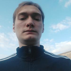Андрей, 28 лет, Белгород