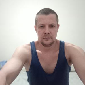 Роман, 41 год, Санкт-Петербург