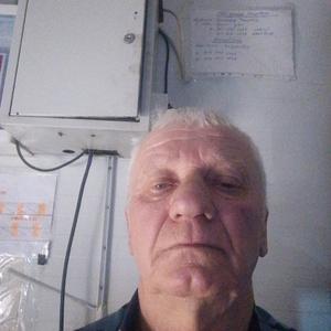 Виталий, 66 лет, Томск