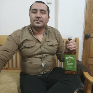 Rustam, 33 года, Ташкент
