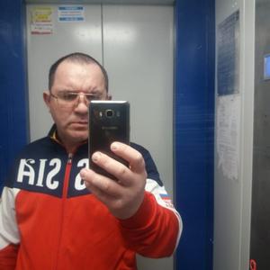 Иван, 43 года, Сестрорецк