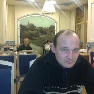 Алексей, 47 лет, Бобруйск