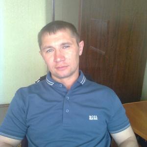 Сергей Игнатьев, 48 лет, Кинешма