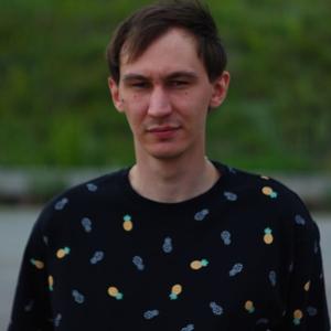 Дмитрий, 27 лет, Сызрань