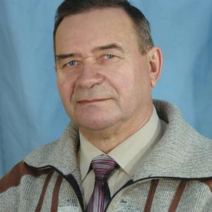 Владимир Опарин, 66 лет, Ростов-на-Дону
