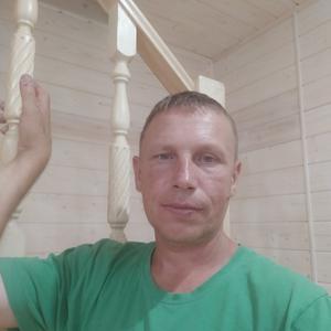Владимир, 43 года, Ростов