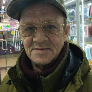 Виктор, 65 лет, Дзержинск