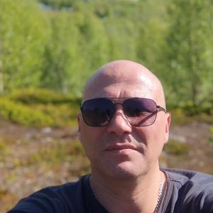 Серый, 43 года, Мурманск