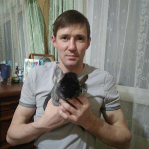 Максим, 38 лет, Кемерово
