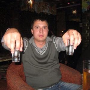 Владимир, 34 года, Белгород