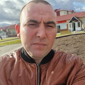 Парни в Пойковский: Рамус, 36 - ищет девушку из Пойковский