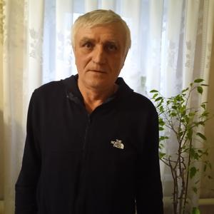 Виктор, 68 лет, Кинешма