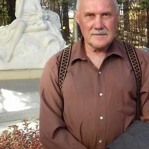 Анатолий Петрович, 61 год, Новосибирск