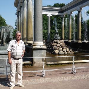 Владимир, 73 года, Воронеж