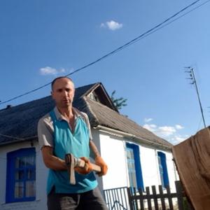 Парни в Киеве (Украина): Сергей, 46 - ищет девушку из Киева (Украина)