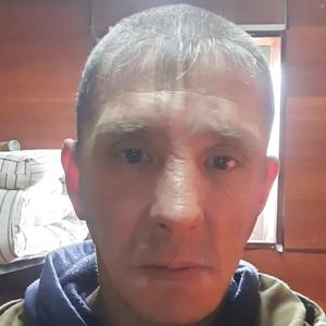 Николай, 44 года, Петропавловск-Камчатский