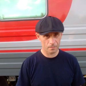 Сергей, 45 лет, Волхов