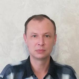 Владимир Степанов, 44 года, Астрахань