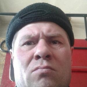 Владимир, 48 лет, Кыштым
