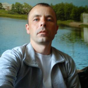 Дмитрий Чижов, 46 лет, Кострома