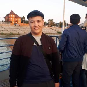 Парни в Шымкенте: Тамерлан, 30 - ищет девушку из Шымкента