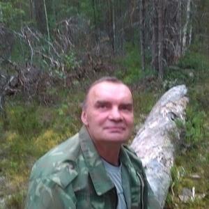 Сергей, 65 лет, Костомукша