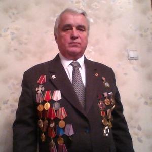 Николай, 77 лет, Санкт-Петербург