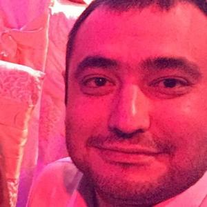 Tim, 36 лет, Ташкент