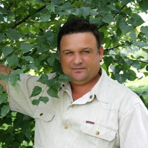 Алексей Богоносов, 60 лет, Красноярск