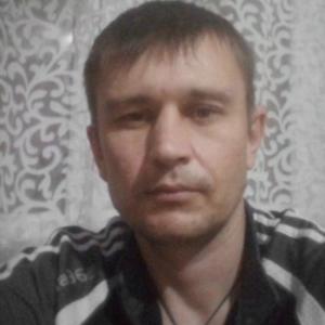 Дима Сергеев, 40 лет, Воронеж