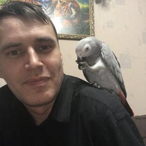 Парни в Нижний Тагиле: Олег, 44 - ищет девушку из Нижний Тагила