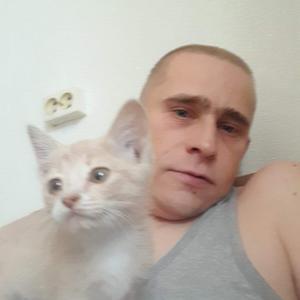 Михаил, 37 лет, Троицк