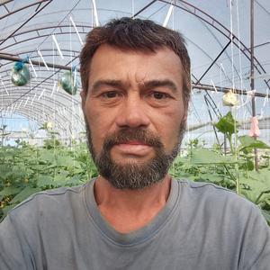 Виталий, 51 год, Краснодар