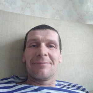 Денис Варламов, 44 года, Сосновка