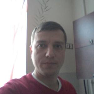 Viktor, 43 года, Брянск