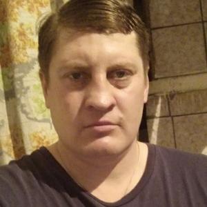 Андрей, 41 год, Ишим