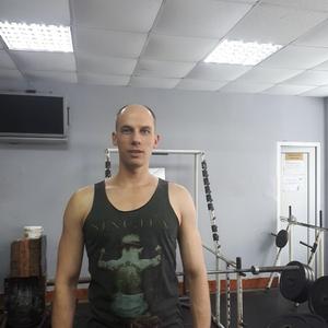 Николай, 41 год, Новомосковск