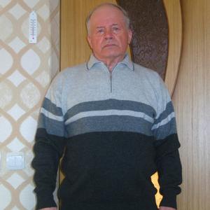 Геннадий, 80 лет, Владимир
