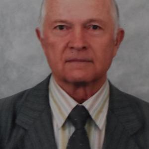 Анатолий Голышев, 81 год, Новосибирск
