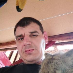 Андрей, 37 лет, Камышин