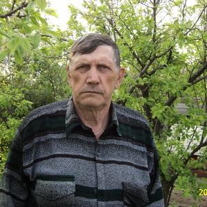 Парни в Волгограде: Момотов Николай, 76 - ищет девушку из Волгограда