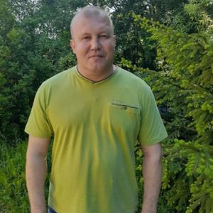 Андрей, 50 лет, Белгород