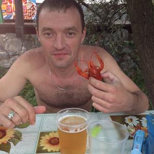 Ildar, 42 года, Прокопьевск