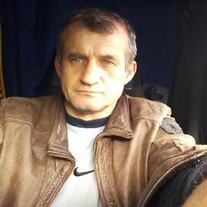 Дмитрий Булавин, 52 года, Домодедово